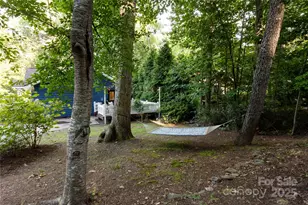 608 Hiawassee Ave, Black Mountain, NC 28711 - Photo 44