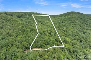 812 Crab Creek Rd, Hendersonville, NC 28739 - Photo 4