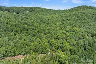 812 Crab Creek Rd, Hendersonville, NC 28739 - Photo 2