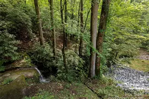 812 Crab Creek Rd, Hendersonville, NC 28739 - Photo 26