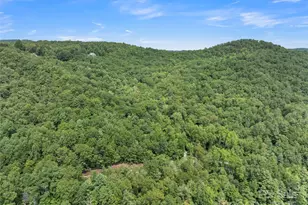 812 Crab Creek Rd, Hendersonville, NC 28739 - Photo 30