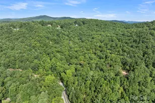 812 Crab Creek Rd, Hendersonville, NC 28739 - Photo 28