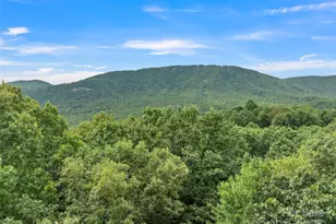 812 Crab Creek Rd, Hendersonville, NC 28739 - Photo 1