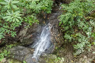 812 Crab Creek Rd, Hendersonville, NC 28739 - Photo 8