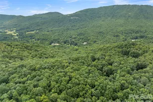812 Crab Creek Rd, Hendersonville, NC 28739 - Photo 30