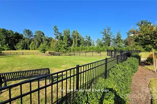 3053 Rosseau Ln, Mount Holly, NC 28120 - Photo 38