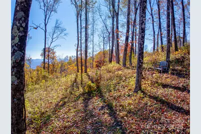 7 Laurel Ledge Way #13, Fletcher, NC 28732 - Photo 1