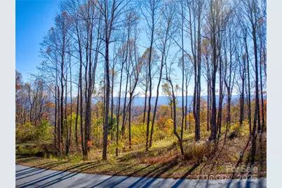 7 Laurel Ledge Way #13, Fletcher, NC 28732 - Photo 16