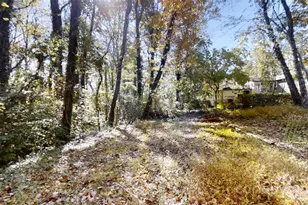 111 Cisco Rd, Asheville, NC 28805 - Photo 28