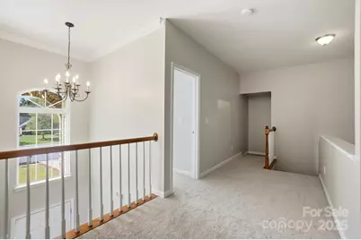 10711 Reid Alexander Lane, Mint Hill, NC 28227 - Photo 20