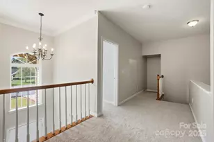 10711 Reid Alexander Ln, Mint Hill, NC 28227 - Photo 20