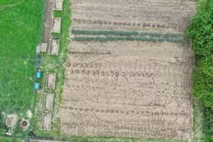 718 Bald Mountain Rd, Burnsville, NC 28714 - Photo 34