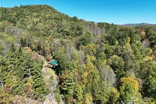 1622 Meadow Fork Rd, Hot Springs, NC 28743 - Photo 6