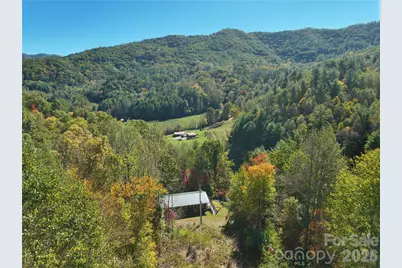 1622 Meadow Fork Road, Hot Springs, NC 28743 - Photo 2