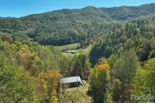 1622 Meadow Fork Rd, Hot Springs, NC 28743 - Photo 2