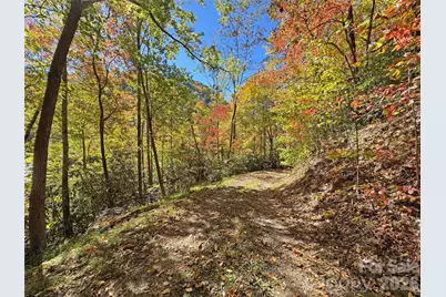 1622 Meadow Fork Road, Hot Springs, NC 28743 - Photo 30