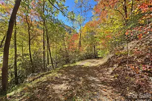 1622 Meadow Fork Rd, Hot Springs, NC 28743 - Photo 30