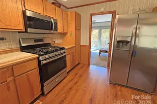 1622 Meadow Fork Rd, Hot Springs, NC 28743 - Photo 10