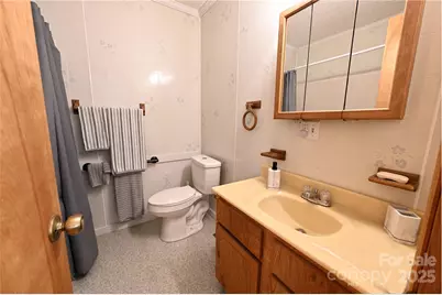 1622 Meadow Fork Road, Hot Springs, NC 28743 - Photo 16