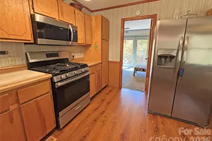 1622 Meadow Fork Rd, Hot Springs, NC 28743 - Photo 10