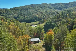 1622 Meadow Fork Rd, Hot Springs, NC 28743 - Photo 2