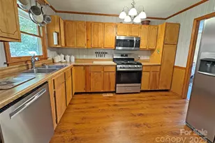 1622 Meadow Fork Rd, Hot Springs, NC 28743 - Photo 4