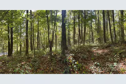12 Laurel Branch Drive, Black Mountain, NC 28711 - Photo 22
