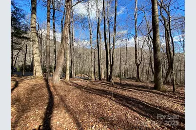 12 Laurel Branch Drive, Black Mountain, NC 28711 - Photo 10