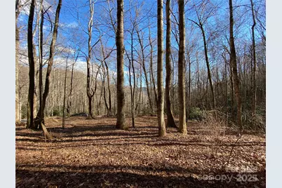 12 Laurel Branch Drive, Black Mountain, NC 28711 - Photo 14
