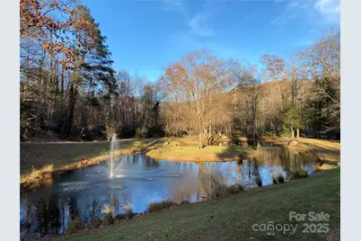 12 Laurel Branch Drive, Black Mountain, NC 28711 - Photo 2