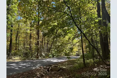 12 Laurel Branch Drive, Black Mountain, NC 28711 - Photo 8