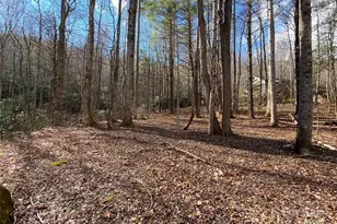 12 Laurel Branch Dr, Black Mountain, NC 28711 - Photo 1