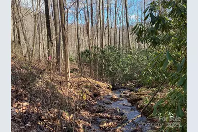 12 Laurel Branch Drive, Black Mountain, NC 28711 - Photo 12