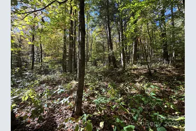12 Laurel Branch Drive, Black Mountain, NC 28711 - Photo 6