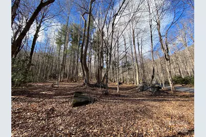 12 Laurel Branch Drive, Black Mountain, NC 28711 - Photo 20