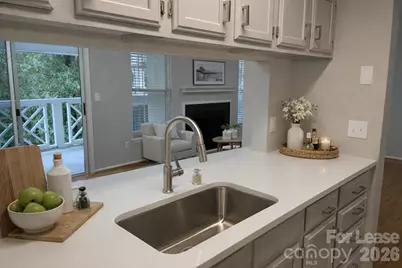 19831 Henderson Road #E, Cornelius, NC 28031 - Photo 14