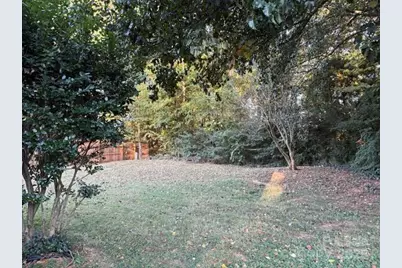 5324 Donnefield Drive, Charlotte, NC 28227 - Photo 38