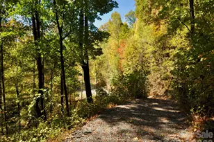 841 Blackthorne Ln, Arden, NC 28704 - Photo 16