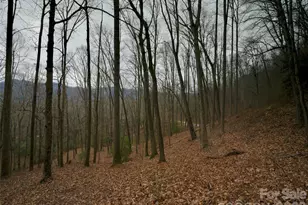 841 Blackthorne Ln, Arden, NC 28704 - Photo 12