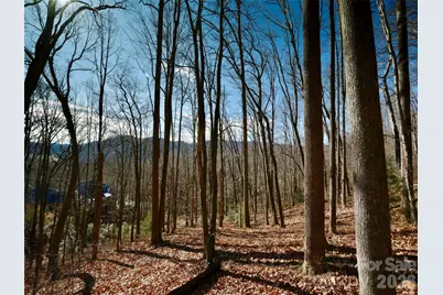 841 Blackthorne Lane, Arden, NC 28704 - Photo 18