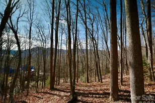 841 Blackthorne Ln, Arden, NC 28704 - Photo 18