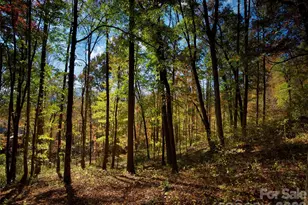 841 Blackthorne Ln, Arden, NC 28704 - Photo 8