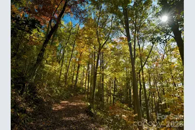 841 Blackthorne Lane, Arden, NC 28704 - Photo 10