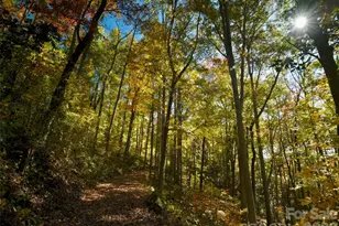 841 Blackthorne Ln, Arden, NC 28704 - Photo 10