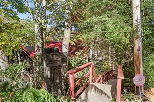 996 Halls Chapel Rd, Burnsville, NC 28714 - Photo 14