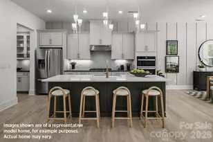 1081 Pinecone Ave, Indian Land, SC 29707 - Photo 2