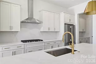 1081 Pinecone Ave, Indian Land, SC 29707 - Photo 8