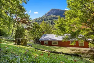 380 Main St, Chimney Rock, NC 28720 - Photo 2