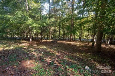 178 Levi Road, Columbus, NC 28722 - Photo 8