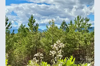 1.17 Acres 4805 Low Valley Way #Lot 956, Lenoir, NC 28645 - Photo 6